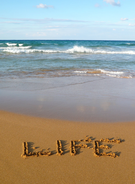 Coaching de Vida en Barcelona Recupera tu dirección. Reconecta contigo. Construye una vida con sentido.